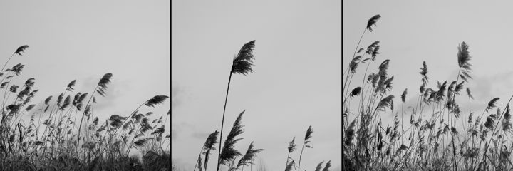 Photographie intitulée "Wind" par Oleg Malov, Œuvre d'art originale