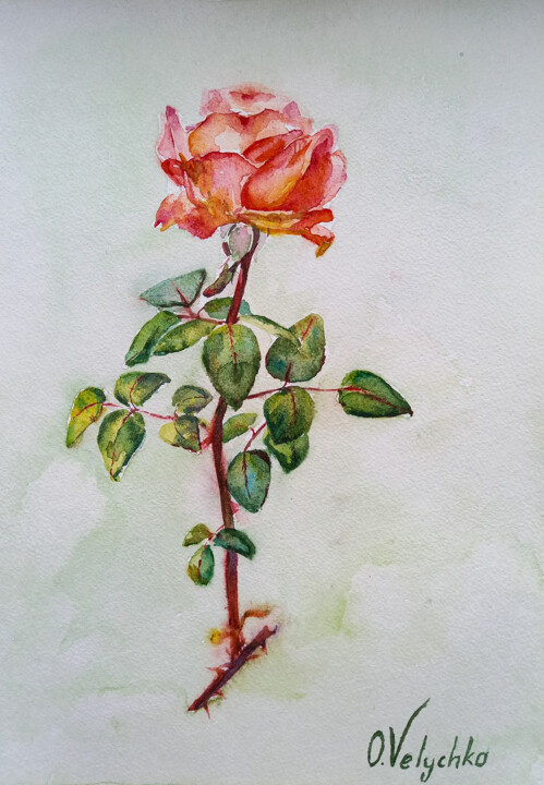 Картина под названием "Rose" - Oleksandra Velychko, Подлинное произведение искусства, Акварель