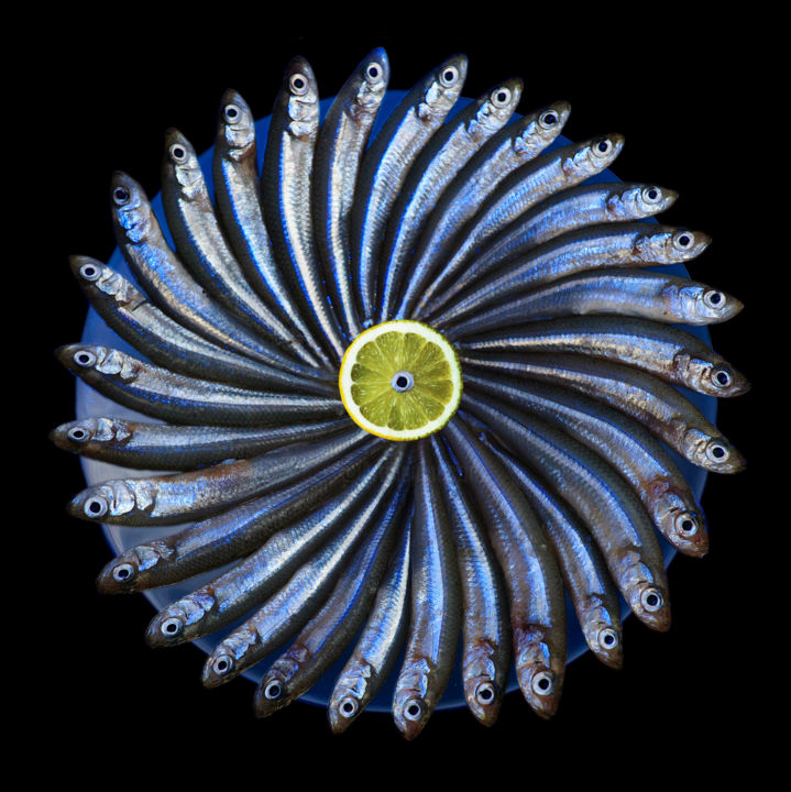 Fotografia intitolato "Fish circle" da Letis, Opera d'arte originale, Fotografia digitale