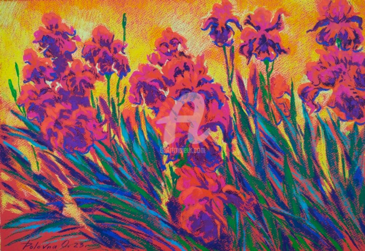 Painting titled "Iris rouges" by Olena Polovna, Original Artwork, Pastel