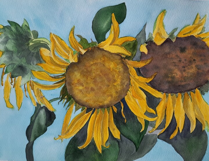 Peinture intitulée "Sunflowers" par Olena Zhylenko, Œuvre d'art originale, Aquarelle