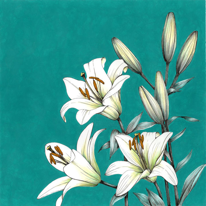 Disegno intitolato "White lilies" da Olga Shashok, Opera d'arte originale, Inchiostro