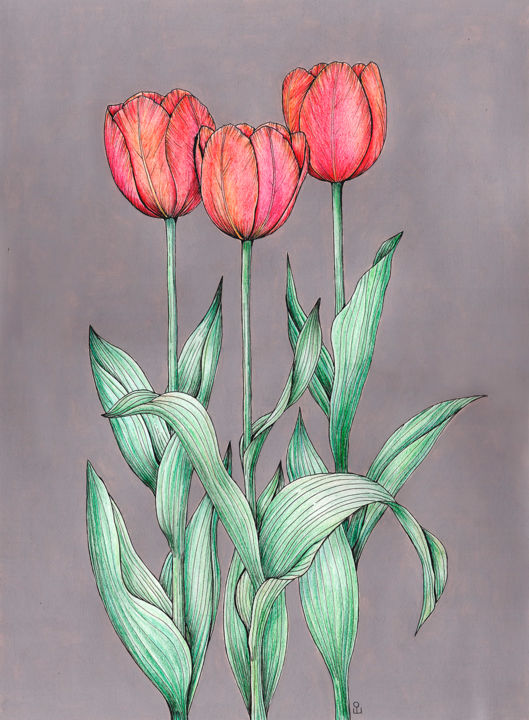 「Red tulips」というタイトルの描画 Olga Shashokによって, オリジナルのアートワーク, 鉛筆