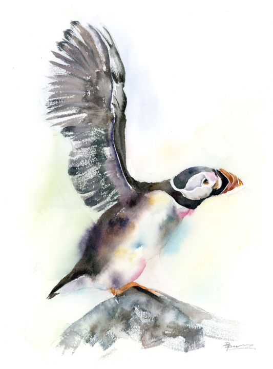 Peinture intitulée "Puffin - Original W…" par Paintispassion, Œuvre d'art originale, Aquarelle