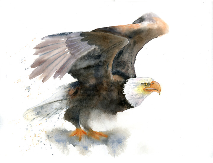 Painting titled "Eagle" by Paintispassion, Original Artwork, Watercolor