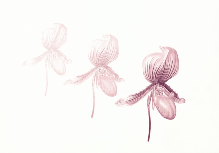 Картина под названием "Orhids, original ha…" - Olga Akimtseva, Подлинное произведение искусства, Акварель