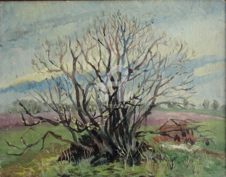 Painting titled "Early spring." by Olga Bagina, Original Artwork, Oil