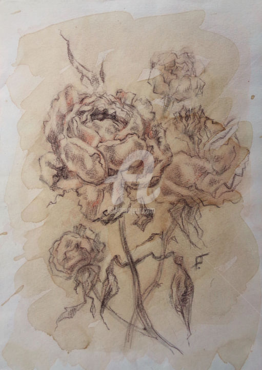 Drawing titled "Roses in love." by Olga Bagina, Original Artwork, Pencil