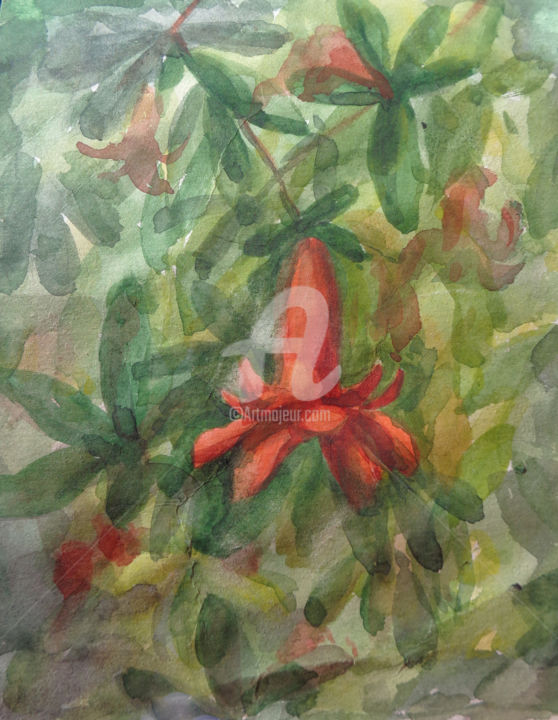 Painting titled "Pomegranat flower" by Olga Bagina, Original Artwork, Watercolor