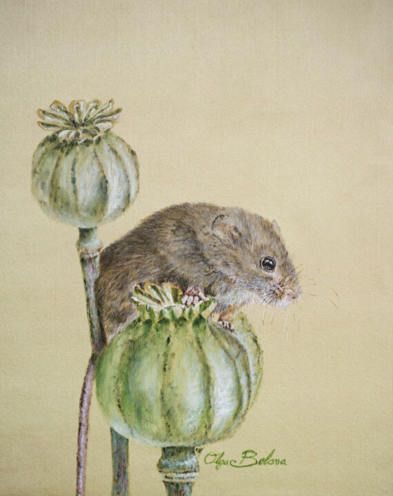 Malerei mit dem Titel "Harvest Mouse 2 - S…" von Olga Belova, Original-Kunstwerk, Pigmente
