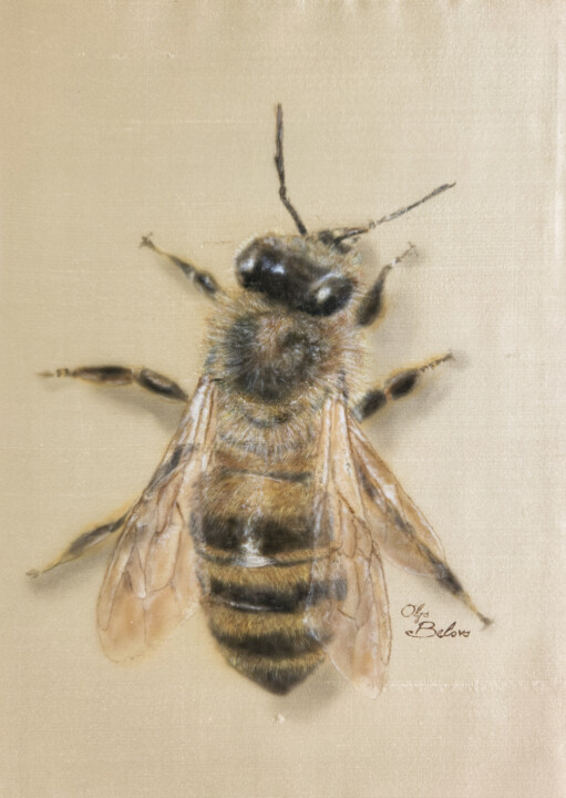 Painting titled "Silky Bee" by Olga Belova, Original Artwork, Acrylic