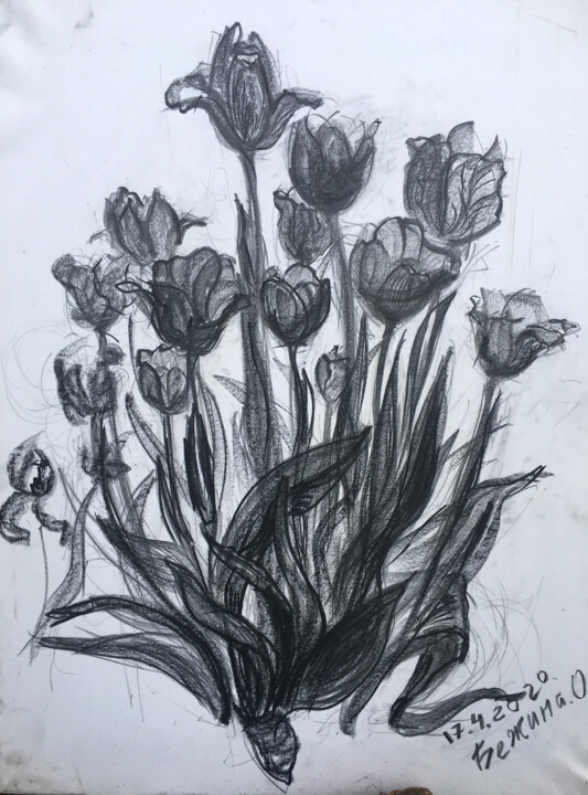 Dessin intitulée "Drawing  tulips" par Olga Bezhina, Œuvre d'art originale, Graphite Monté sur Châssis en bois