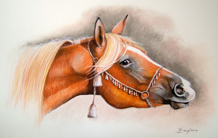 Drawing titled "Araber" by Olga David, Original Artwork, Pastel