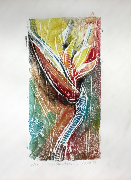 Druckgrafik mit dem Titel "bird of paradise fl…" von Olga David, Original-Kunstwerk, Monotypie