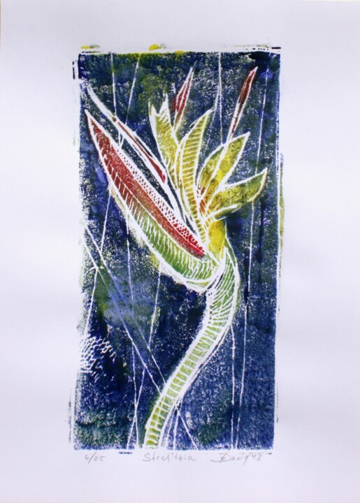 Printmaking titled "bird of paradise fl…" by Olga David, Original Artwork, Monotype