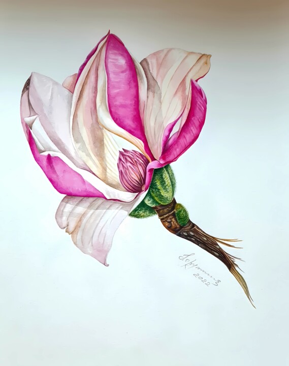 Peinture intitulée "Magnolia flower" par Olga Poruchikova, Œuvre d'art originale, Aquarelle
