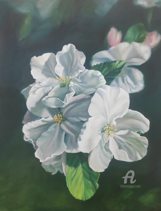 Painting titled "Apple flower" by Olga Kaszkur, Original Artwork, Oil