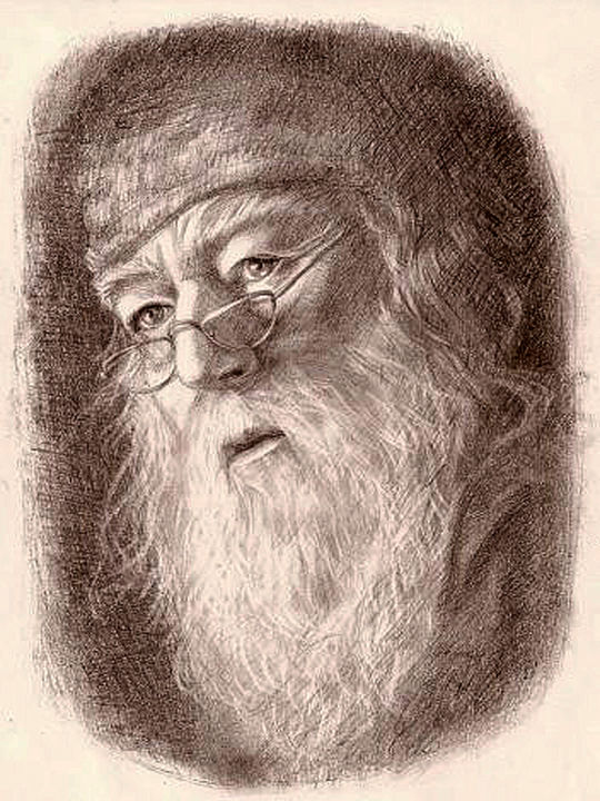 Рисунок под названием "Dumbledore" - Olga Shevchenko, Подлинное произведение искусства, Графит
