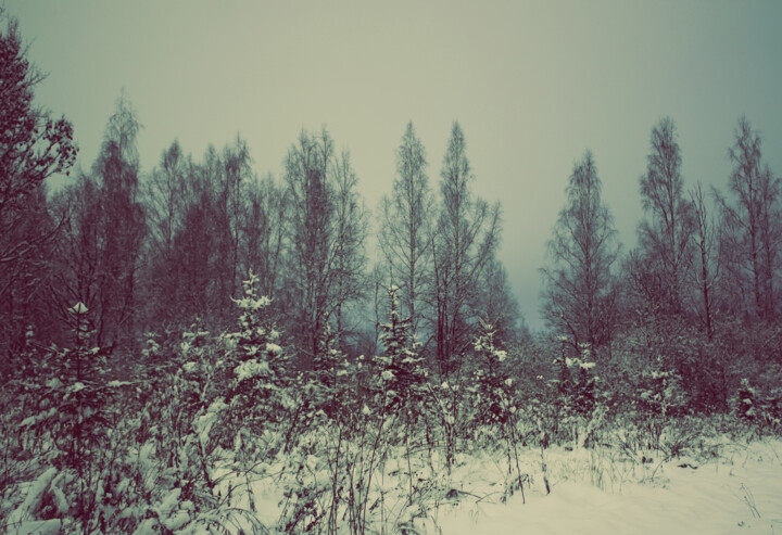 Photography titled "Winter twilight" by Olga Strogonova, Original Artwork, Digital Photography