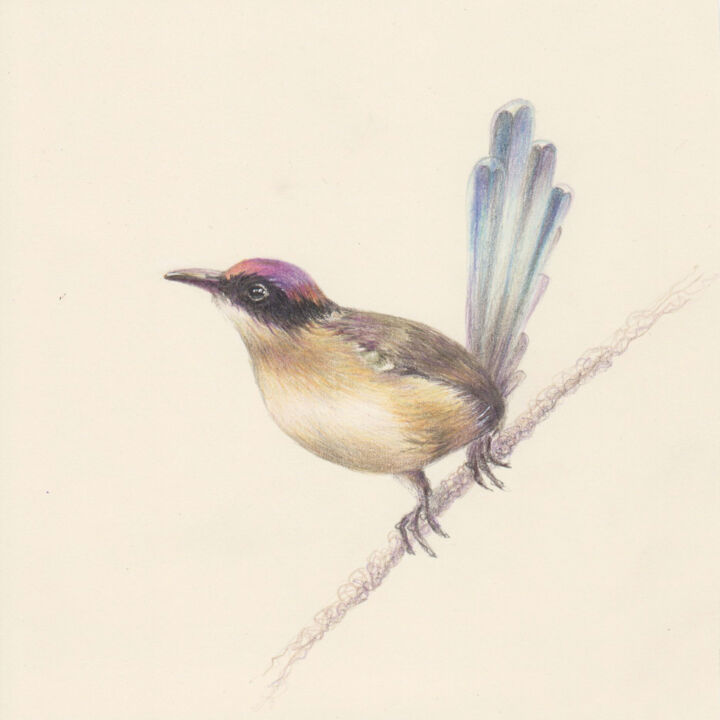 Drawing titled "053 The bird" by Olga Trifonova, Original Artwork, Pencil