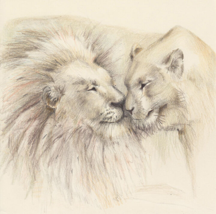 Drawing titled "060 Lions" by Olga Trifonova, Original Artwork, Pencil