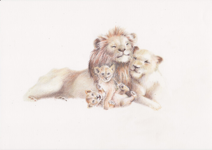 Drawing titled "Lions" by Olga Trifonova, Original Artwork, Pencil
