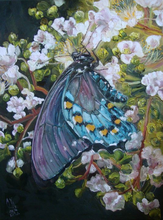 Peinture intitulée "Blue butterfly" par Olga Knezevic, Œuvre d'art originale, Huile