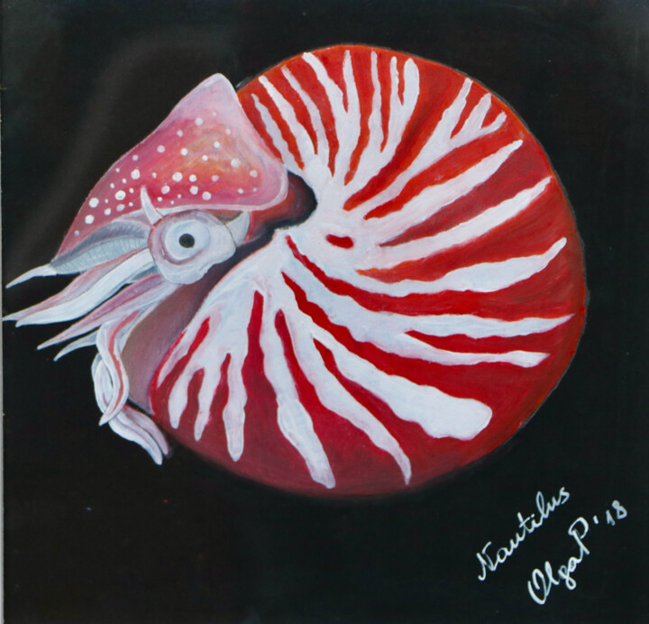 Dibujo titulada "Nautilus: the animal" por Olga Petrova, Obra de arte original, Pastel