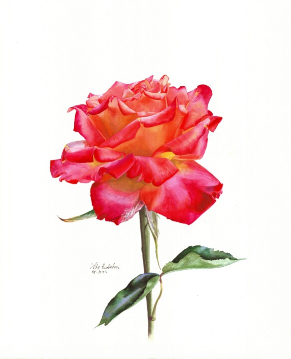 Картина под названием "Rose" - Olha Riabokon, Подлинное произведение искусства, Акварель