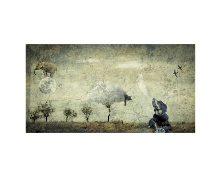 Arte digitale intitolato "Ulk, the smoking dog" da Oli Romanelli (Olir), Opera d'arte originale, Fotomontaggio