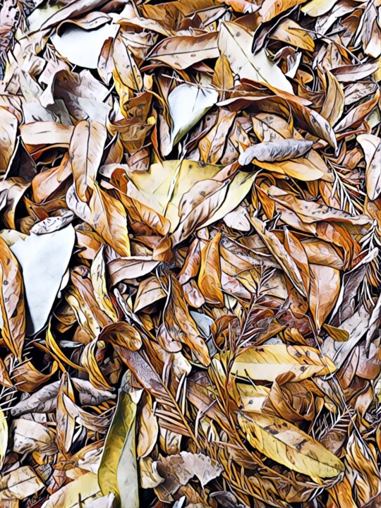 Interview | Michael Driscoll: the passion for digital photography