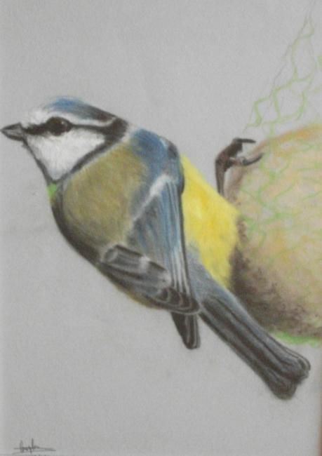 Painting titled "Blue tit" by Olayinka Taylor-Lewis, Original Artwork, Oil