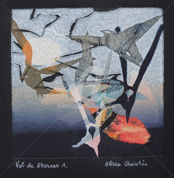 Printmaking titled "Vol de sternes 1" by Olivia Quintin, Original Artwork, Engraving