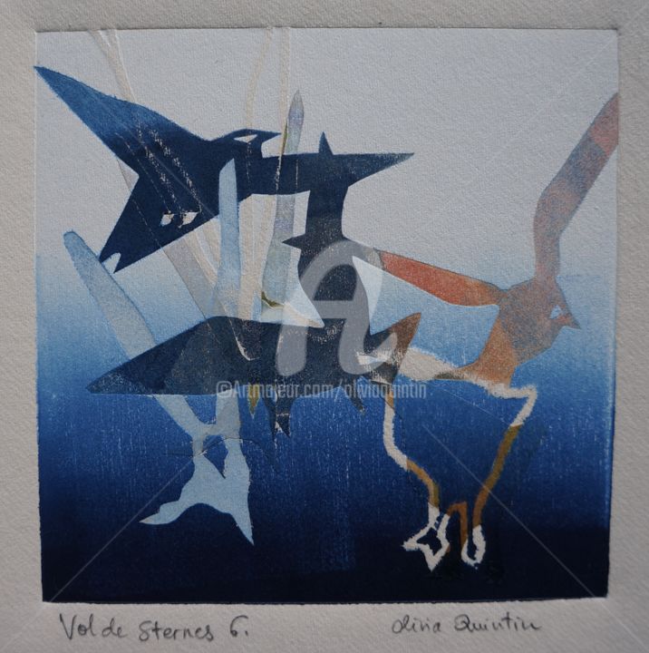 Impressões e gravuras intitulada "Vol de sternes 6" por Olivia Quintin, Obras de arte originais, Gravação
