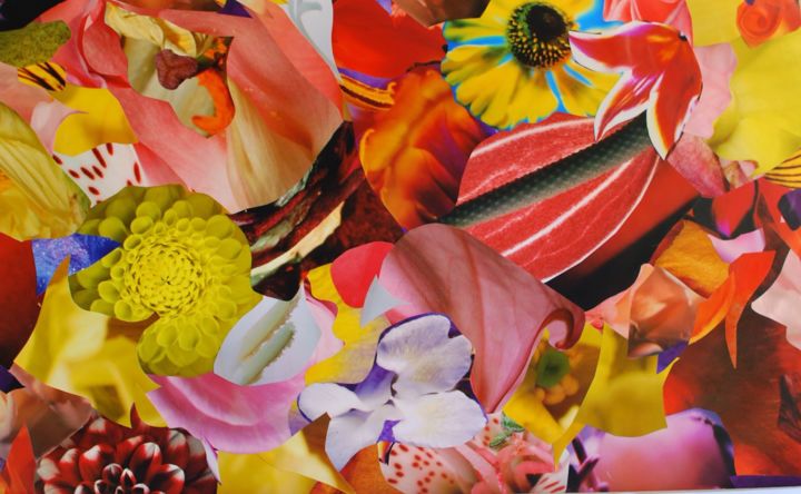 Collages intitolato "Flowersforever" da Olivier Bourgin, Opera d'arte originale, Collages