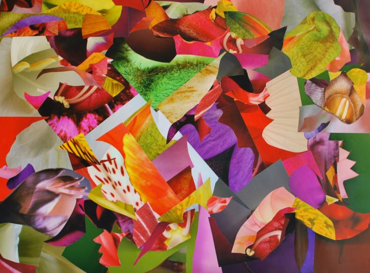 Collages intitolato "Flowersonmymind" da Olivier Bourgin, Opera d'arte originale, Collages