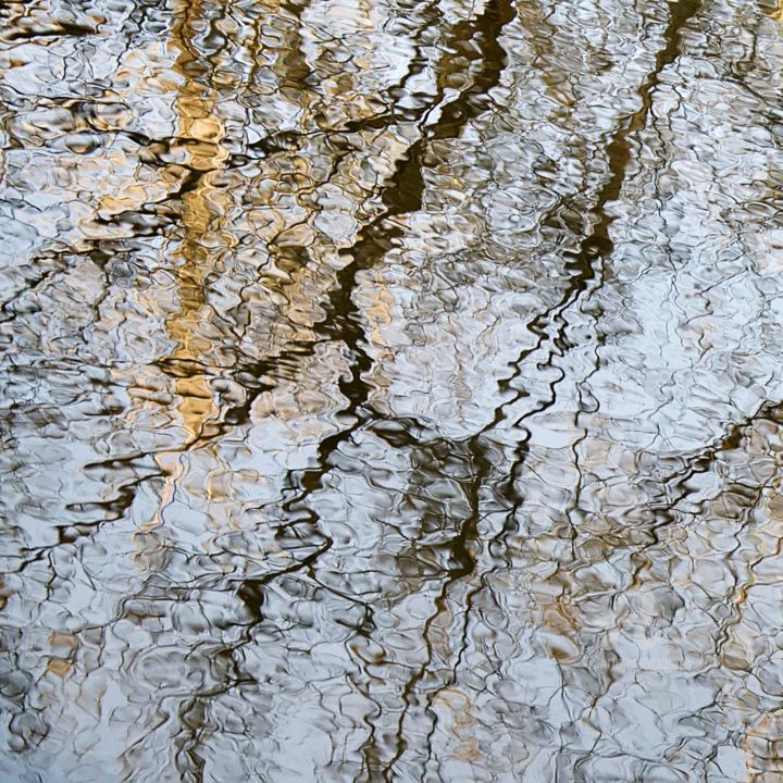 Photographie intitulée "Variation aquatique…" par Olivier Coradazzo, Œuvre d'art originale, Photographie non manipulée
