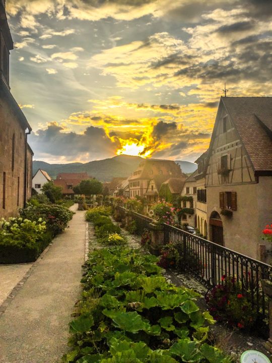 Photographie intitulée "Soleil d’Alsace" par Olivier De Pooter, Œuvre d'art originale, Photographie non manipulée