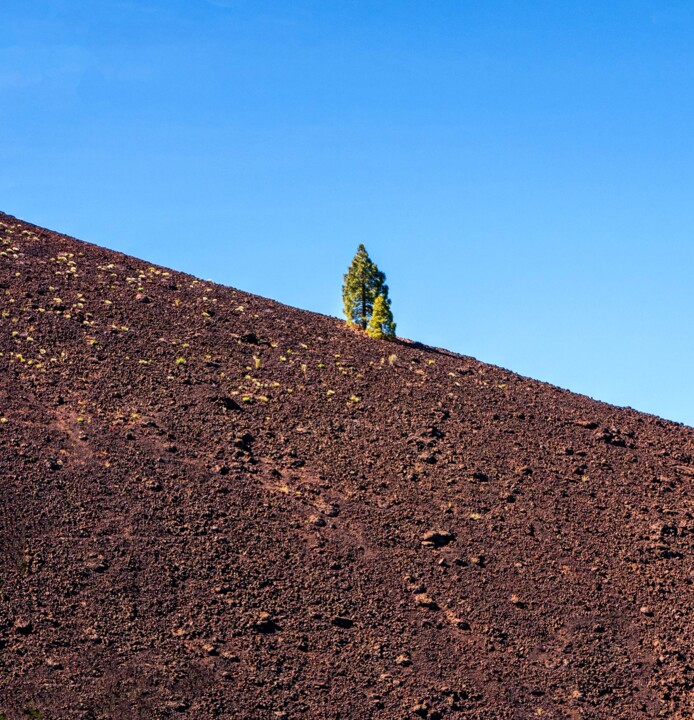 Photographie intitulée "Life" par Olivier Gros, Œuvre d'art originale, Photographie non manipulée