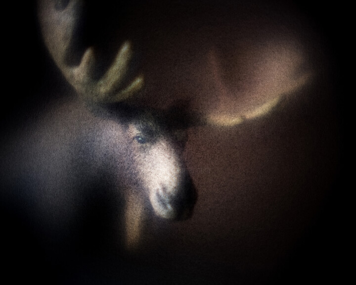 Photography titled "Bestiaire #9, Elan 2" by Olivier Pasquiers, Original Artwork, Non Manipulated Photography