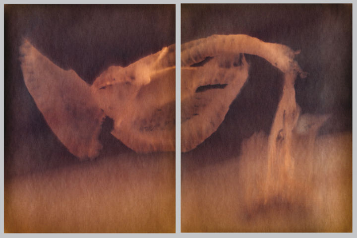 Fotografia intitolato "2 photogrammes de l…" da Olivier Perrot, Opera d'arte originale, Fotografia digitale