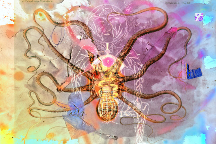 Peinture intitulée "An octopus trying t…" par Olivier Gilet, Œuvre d'art originale, Acrylique