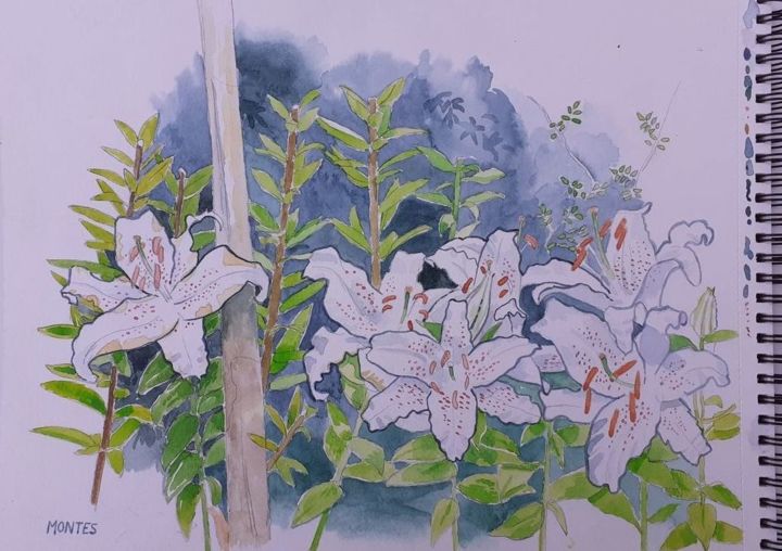 Painting titled "Lys royaux" by Olivier Montes, Original Artwork, Watercolor