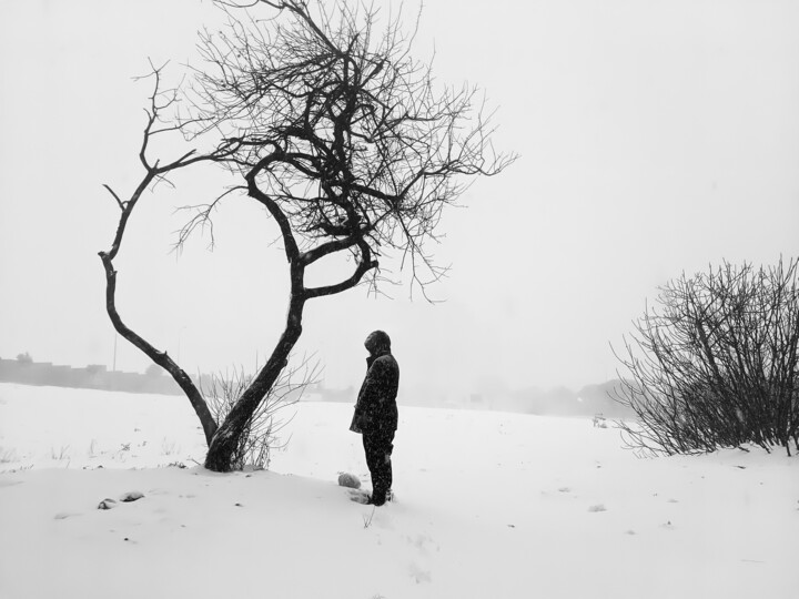 摄影 标题为“Winter Tale” 由Ömer Erdoğan, 原创艺术品, 数码摄影