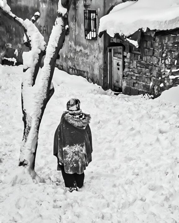 Fotografia intitolato "In Snow" da Ömer Erdoğan, Opera d'arte originale, Fotografia digitale