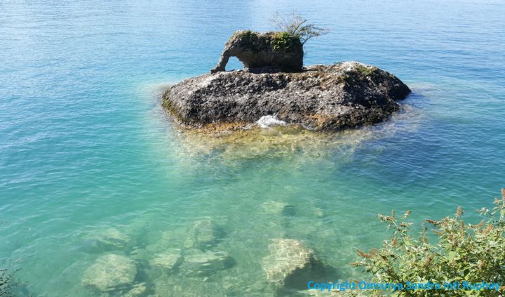 Fotografie mit dem Titel "ELEFANT WASSER FRIE…" von Omsurya Sandra Inti Ruphay, Original-Kunstwerk