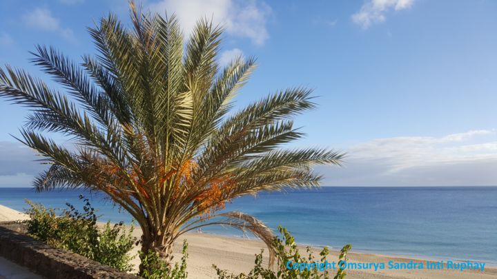 Fotografie mit dem Titel "PASEO PAZ PALMERA" von Omsurya Sandra Inti Ruphay, Original-Kunstwerk