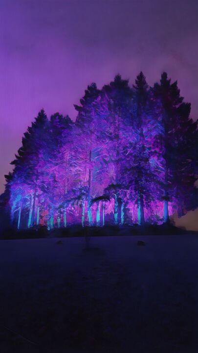 Digital Arts titled "Enchanted Forest" by Onaris, Original Artwork, Digital Painting