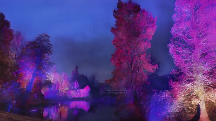 Digital Arts titled "The Fairy's Lac" by Onaris, Original Artwork, Digital Painting