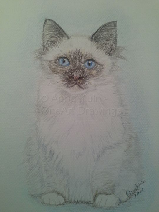Drawing titled "no-20-kitty-oneart-…" by Oneart Drawings, Original Artwork
